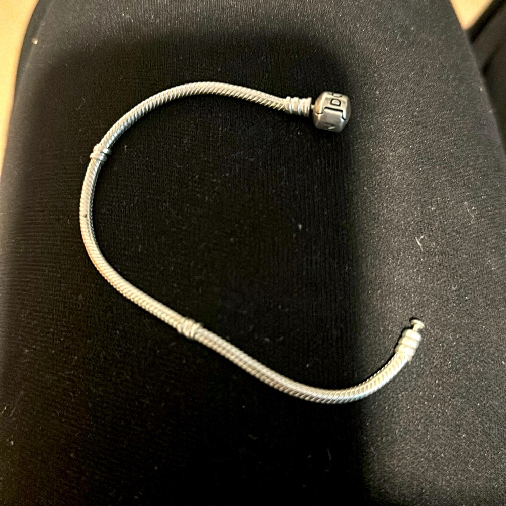 Pandora Bracelet